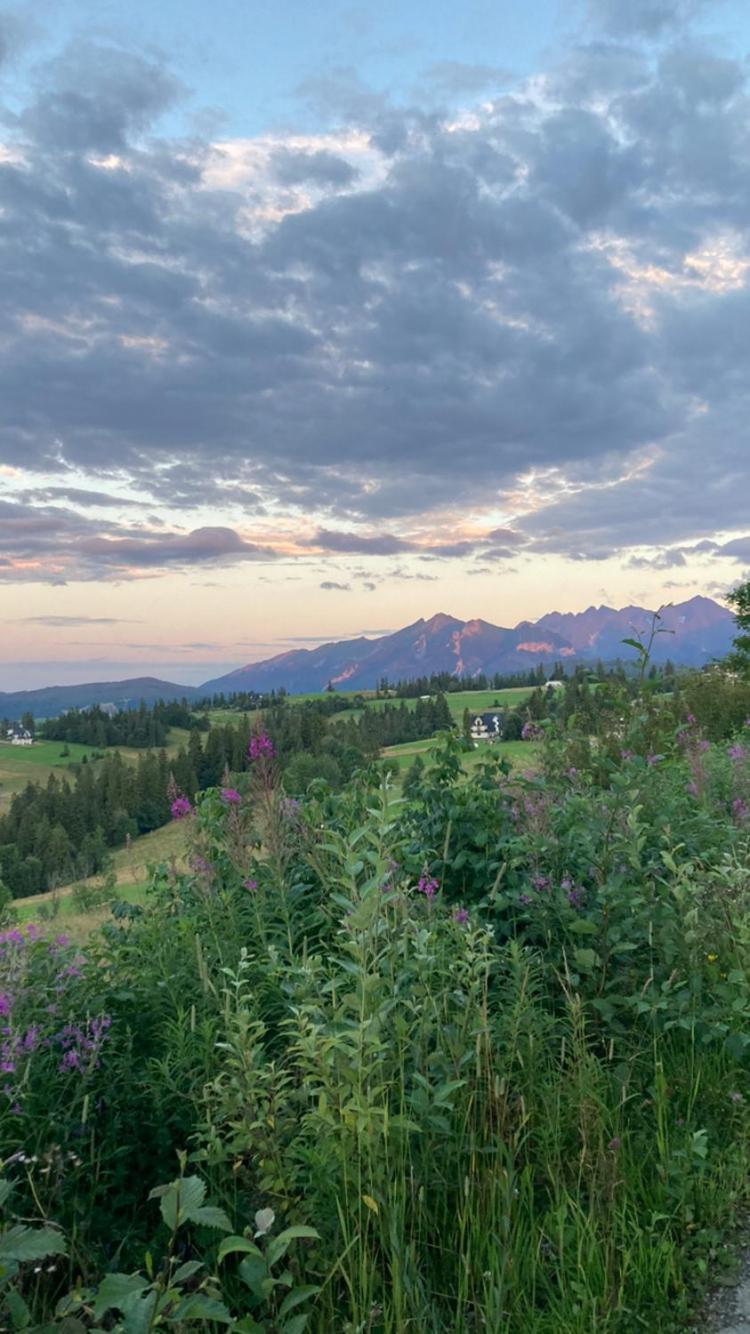 Villa Przy Lesie Bukowina Tatrzańska Esterno foto
